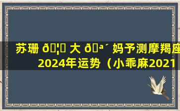 苏珊 🦁 大 🪴 妈予测摩羯座2024年运势（小乖麻2021年一2023年摩羯运）